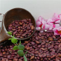 Chinese Dried Dark Red kidney bean/kidney beans ,canned beans,bean